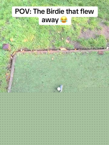@GolfBite