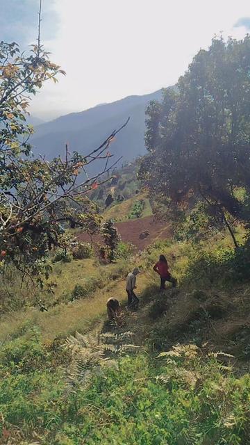 @babita basnet
