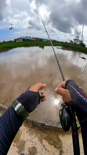 @Miyank Angler