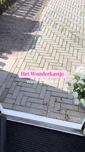 @Wand & Wonder
