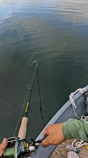 @Dkam Fishing (NJ)