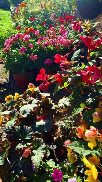 @🌺Flower&rsquo;s&ensp;Lover❤️