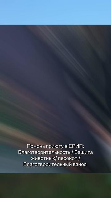 @Директор &laquo;Песокот&raquo;250🐈🐶