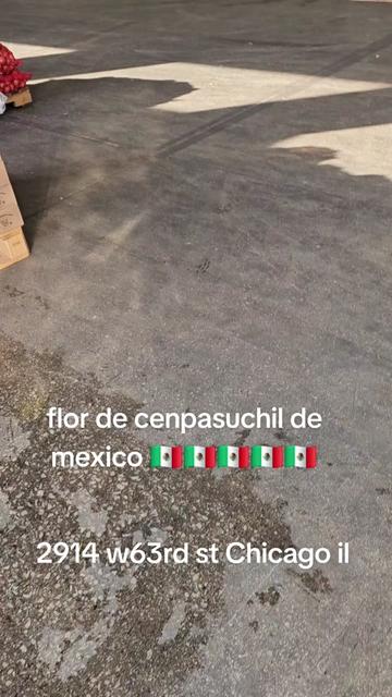 @Gerardo Robles