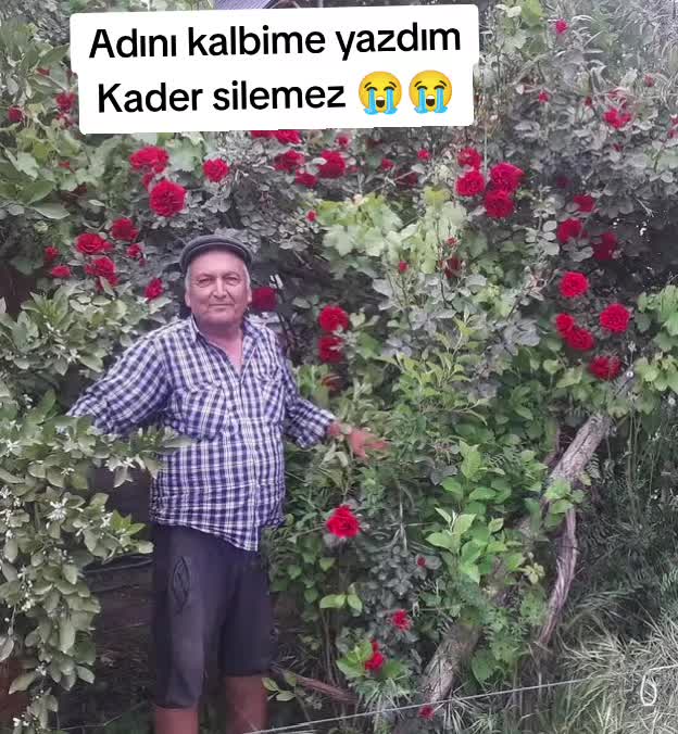 @Tijen Sert 💕
