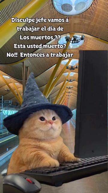 @💛🤎BonitaGirasol91
