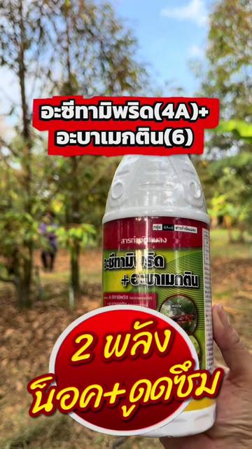 @ชาวสวนที่ชอบขายของ