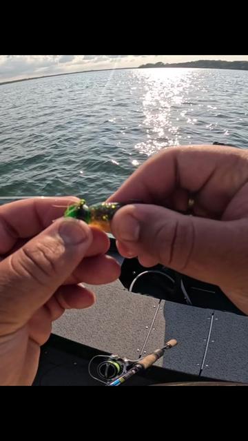 @BRVDDY BASSIN