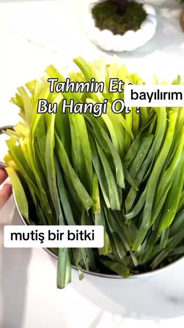@Yararlı Bilgiler