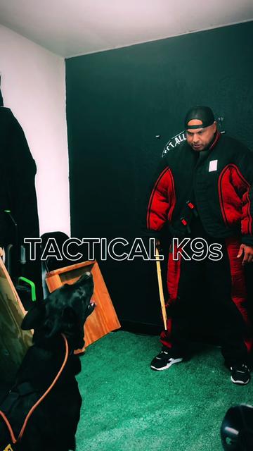 @Tactical K9s Dog Training