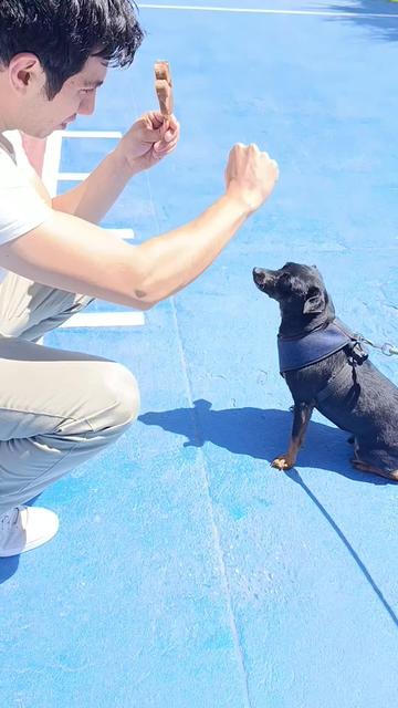 @Doggy Cream