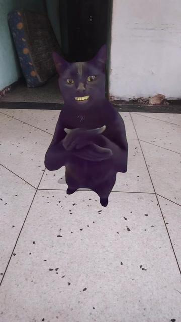@Maria Ferreira