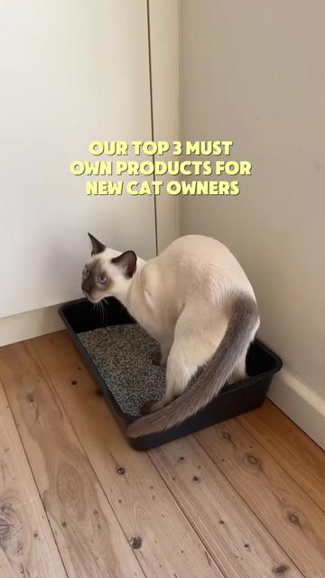 @CAT by Dr Lisa