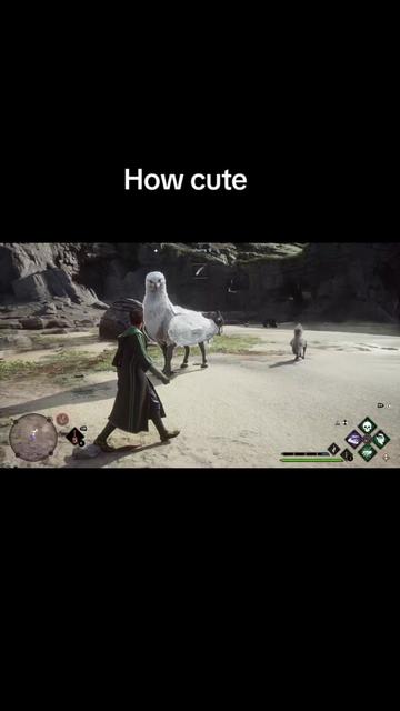 @random videos