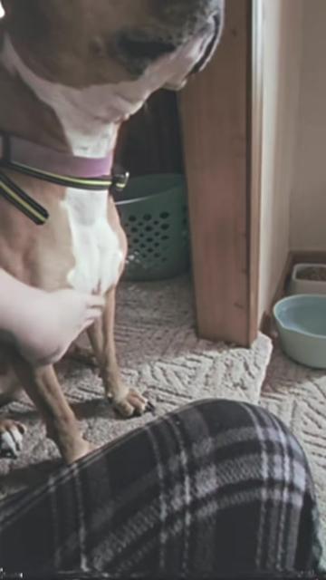 @Dani Reneá