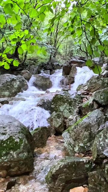 @DaarBit (달비트)