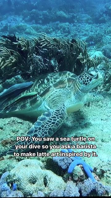 @Scuba Diving with Ara