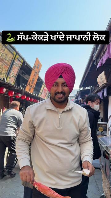 @Punjabitravelcouplevlog
