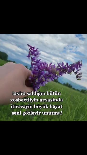 @vardis_bibila♡