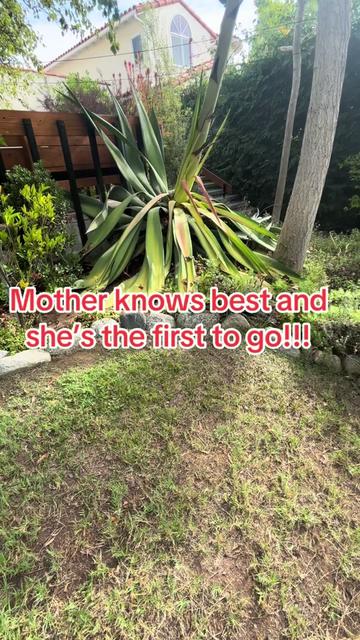 @firmlyplanteddesigns