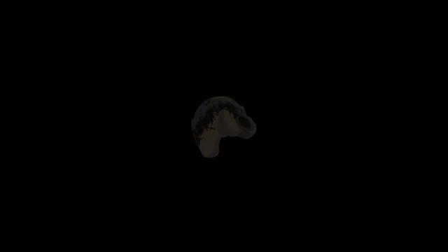 @🦖 — kouisle — 🦕