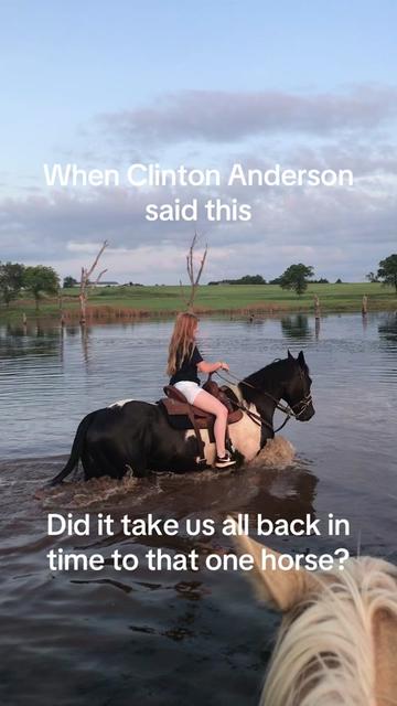 @Jayde 🐎