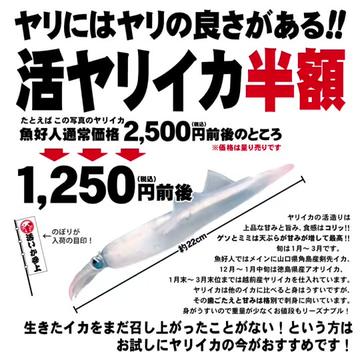 @株式会社魚好人