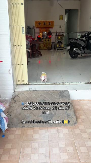 @L&uacute;n L&egrave;👽