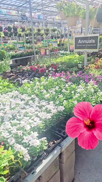 @A N I T A 🌸