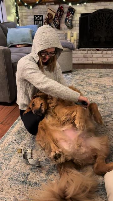 @Sammy The Big Red Dog