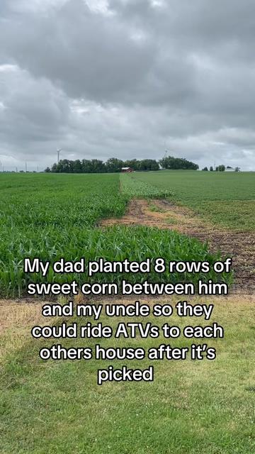 @Farmer Brando