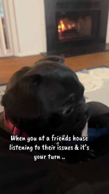 @Hound House Treats