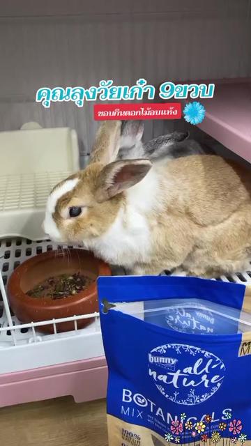 @Pet for Life