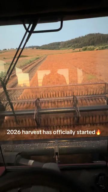 @GS3 Seed Farm