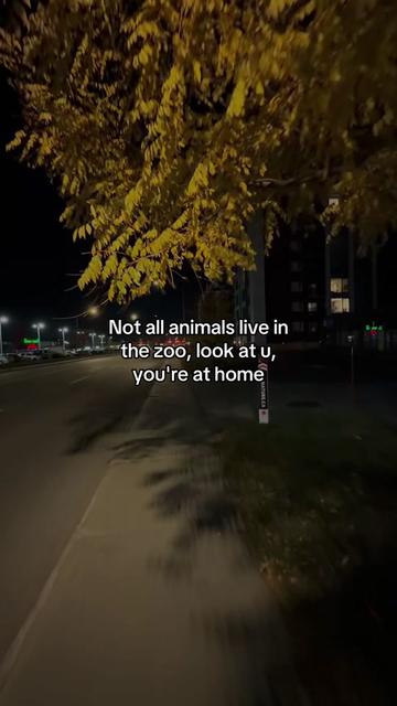@inniz-