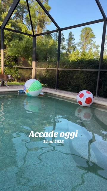 @Angela Accardi