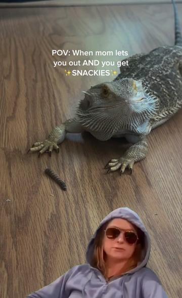 @Lil_desert_hobo