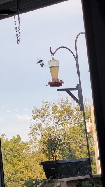 @Wargame_terrain_by_CHAN