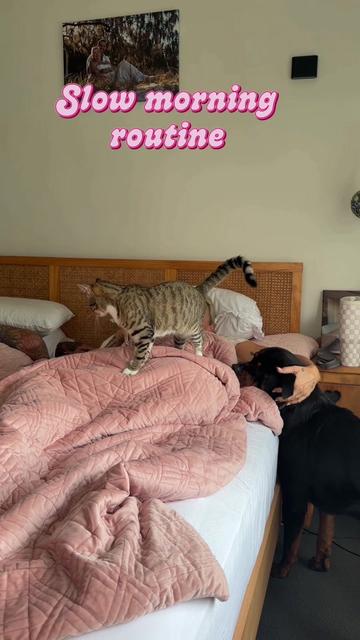@demiirosee