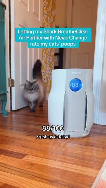 @My Cat Is People 🇨🇦