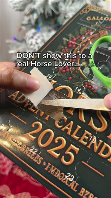 @Gallop Days