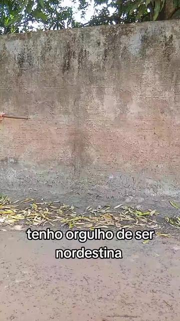 @Karla Valverde