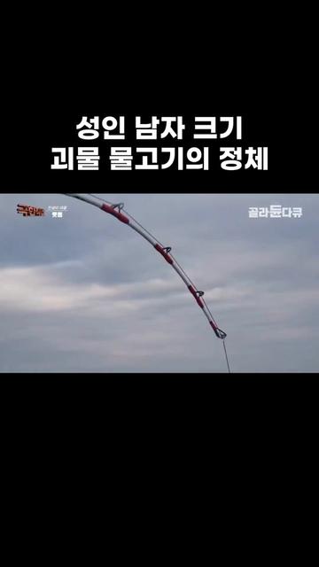 @EBS 다큐