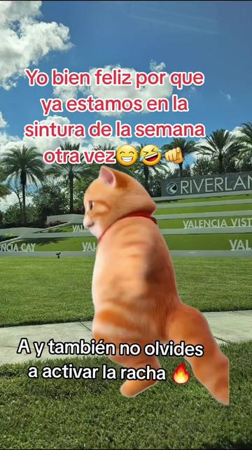 @Gabrielito 502