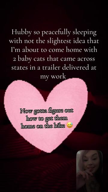 @𝙶𝚑𝚘𝚞𝚕𝙰𝚒𝚍