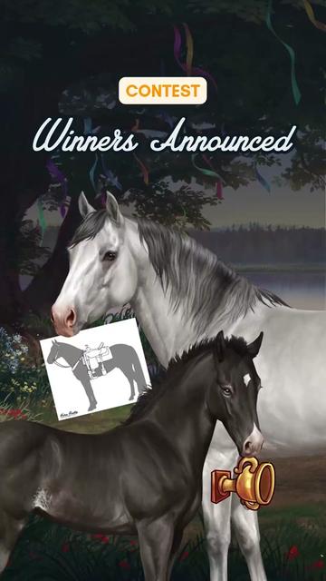 @Horse Reality