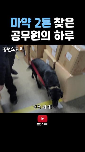 @휴먼쇼츠