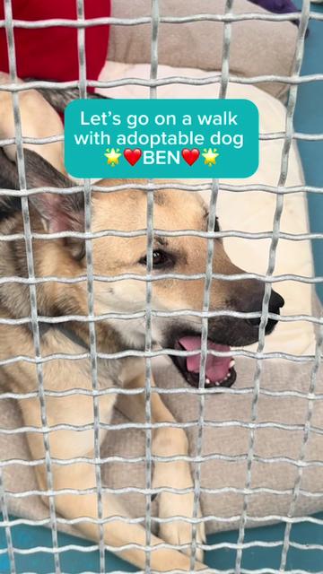 @BC SPCA