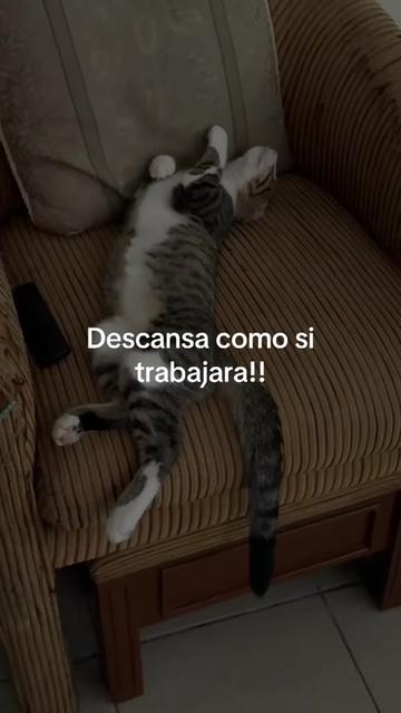 @Vane Vazquez
