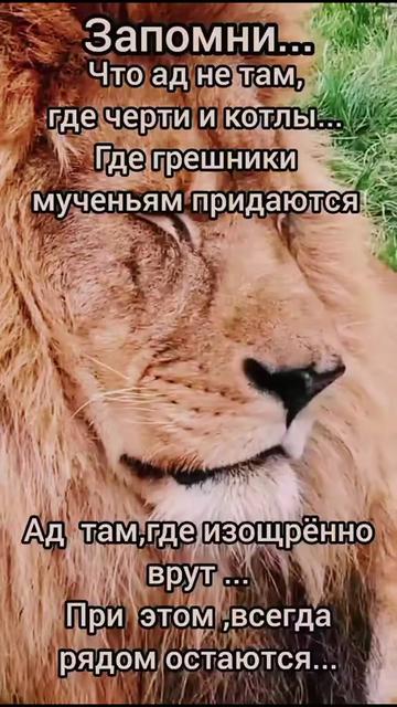 @Директор Тик-ток